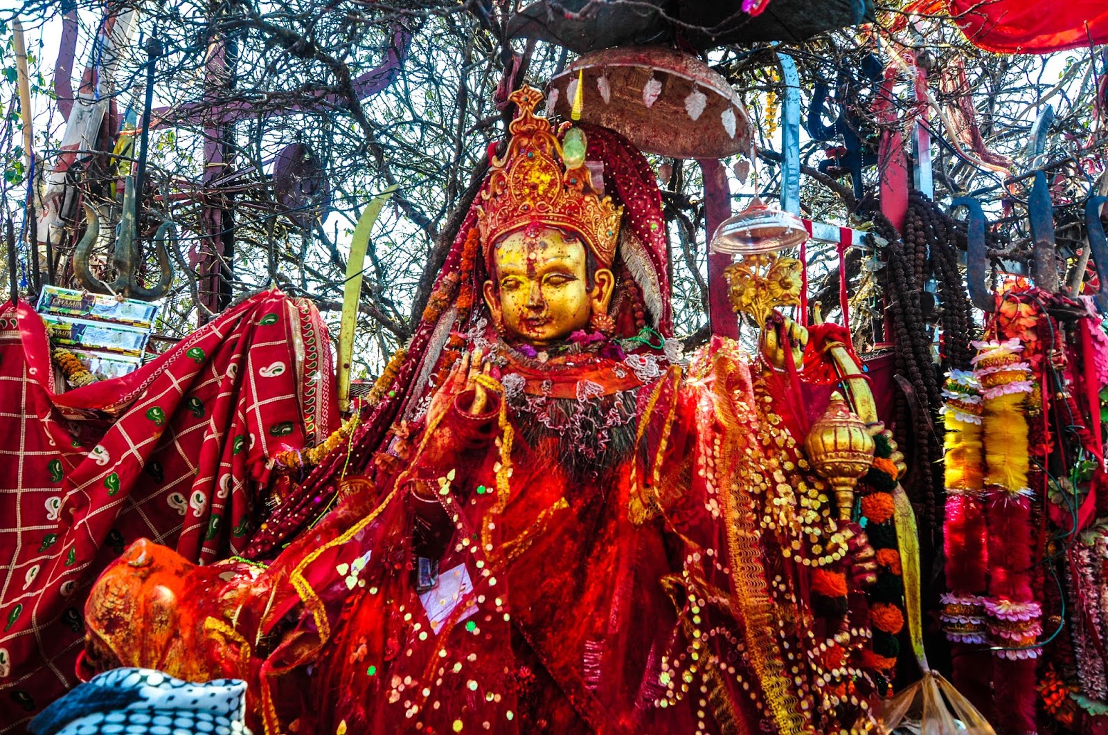 पाथीभरा देवी
