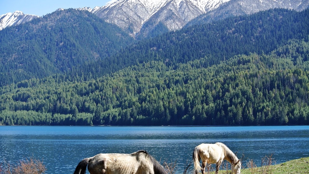 राराताल